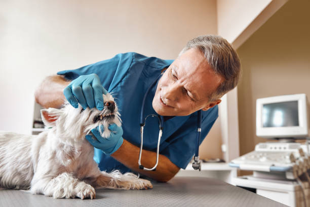 Best Emergency Treatment for Dental Infections or Abscesses in Redfield, AR