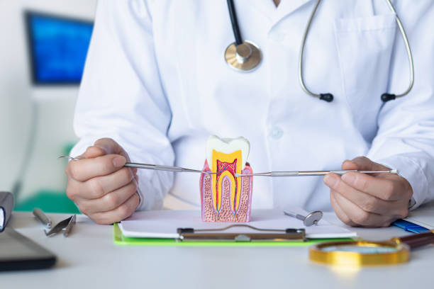 Best Weekend Emergency Dentist in Redfield, AR
